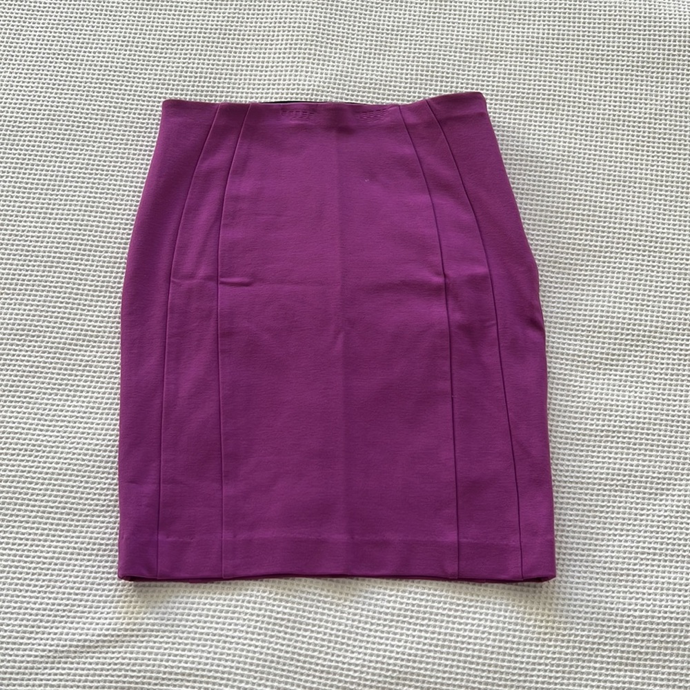 Ann Taylor Skirt